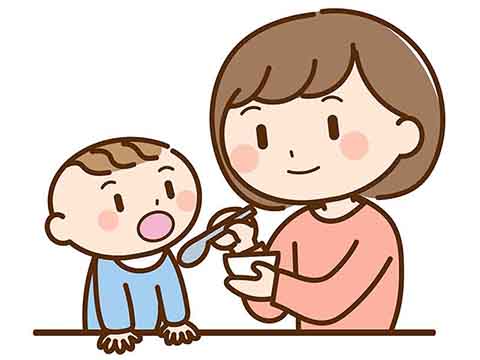 食育コラム-離乳食に取り入れる時期と固さの目安