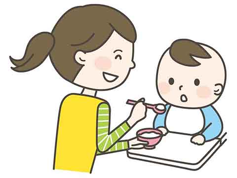 食育コラム－離乳食に取り入れる時期と固さの目安