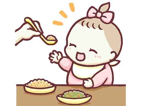 食育コラム-離乳食に取り入れる時期と固さの目安