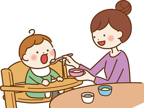 食育コラム-離乳食に取り入れる時期と固さの目安