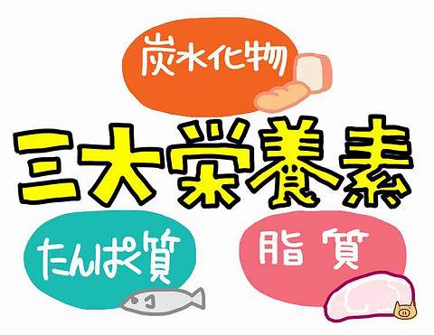三大栄養素|【炭水化物(たんすいかぶつ)】は、脳やからだの大切なエネルギー源!しっかりからだをつくろう・動かそう!【食育コラム】