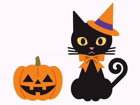 ジャック・オー・ランタンと黒猫