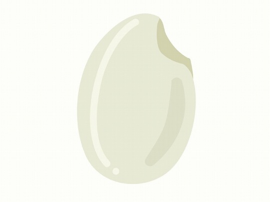 「おこめ(お米)」の こどもに話したい!栄養と調理・保存のコツ【食育コラム】