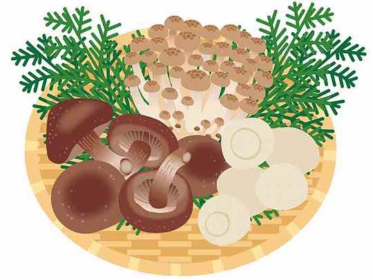 「ぶなしめじ」の知っておきたい！栄養と調理・保存のコツ【食育コラム】