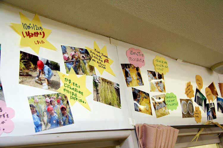 学校法人帝塚山学院 帝塚山学院幼稚園さま【大阪府】(お弁当給食サービス(配達)