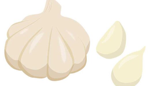 疲労回復が期待できる「にんにく」【食育コラム】