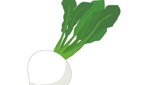 「かぶ（蕪）」の知っておきたい！栄養と調理・保存のコツ【食育コラム】