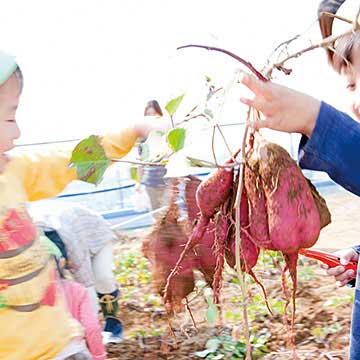 富喜屋の「食育が基本」の給食