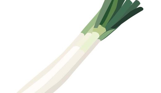 「長ねぎ」の知っておきたい！栄養と調理・保存のコツ【食育コラム】
