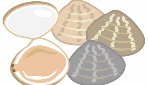 「あさり（浅蜊）」の知っておきたい！栄養と調理・保存のコツ【食育コラム】