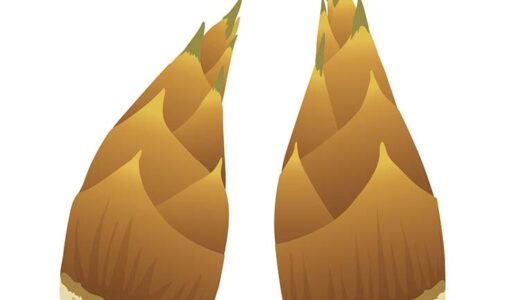 「たけのこ（筍）」の知っておきたい！栄養と調理・保存のコツ【食育コラム】