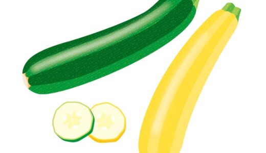 「ズッキーニ」の知っておきたい！栄養と調理・保存のコツ【食育コラム】