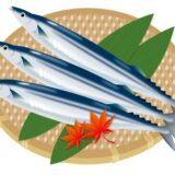 「さんま（秋刀魚）」の栄養と調理・保存のコツ【食育コラム】