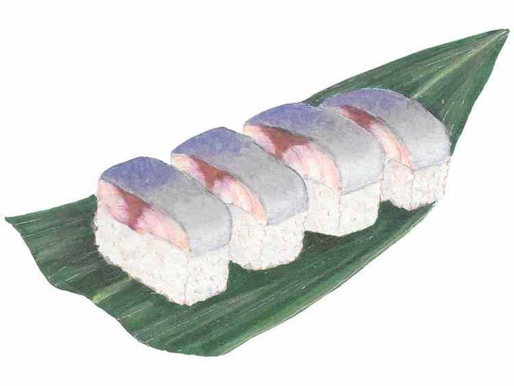 サバの押し寿司｜「サバ（鯖）」のこどもに話したい！栄養と調理・保存のコツ【食育コラム】