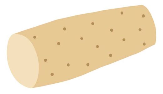 「ながいも（長芋）」の こどもに話したい！栄養と調理・保存のコツ【食育コラム】