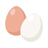 「たまご(卵)」の こどもに話したい!栄養と調理・保存のコツ【食育コラム】