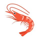 「えび（海老）」の こどもに話したい！栄養と調理・保存のコツ【食育コラム】