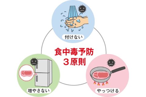 食中毒予防の3原則|【夏の食中毒対策】食中毒予防は家庭から! 安全なお弁当をつくる注意点【季節のコラム】