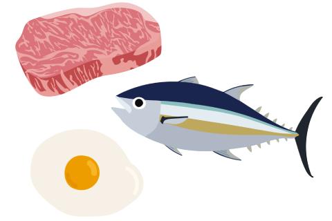 肉・魚・卵｜家庭でできる“食中毒予防の3原則（つけない・増やさない・やっつける）”と、食品の購入から、調理、食べるまでに気をつけたい6つのポイント【お家で食育コラム vol.8】