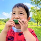 「野菜は体にいい」だけじゃもったいない！ “野菜の本当のスゴさ、魅力” を知って、こどもにも話してあげよう！【お家で食育コラム vol.8】
