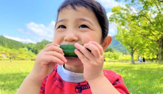 「野菜は体にいい」だけじゃもったいない！ “野菜の本当のスゴさ、魅力” を知って、こどもにも話してあげよう！【お家で食育コラム vol.8】