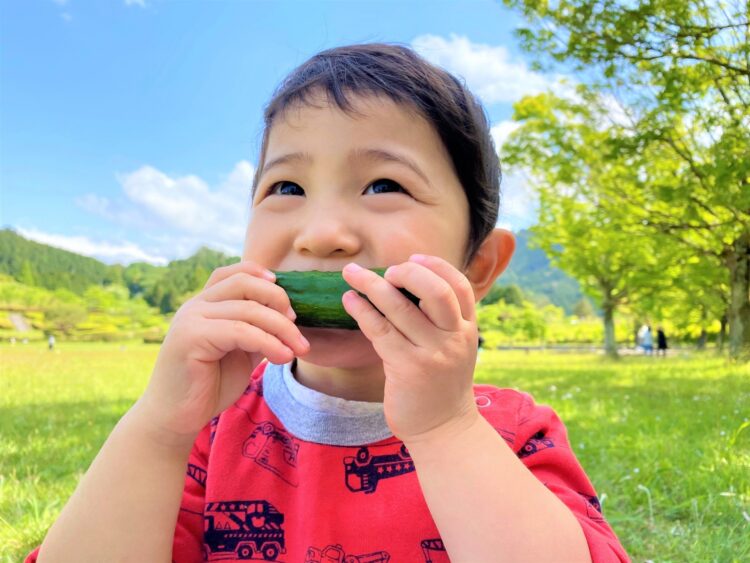 「野菜は体にいい」だけじゃもったいない！ “野菜の本当のスゴさ、魅力” を知って、こどもにも話してあげよう！【お家で食育コラム vol.8】