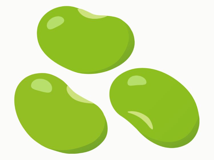 枝豆|「えだまめ(枝豆)」の こどもに話したい!栄養と調理・保存のコツ【食育コラム】
