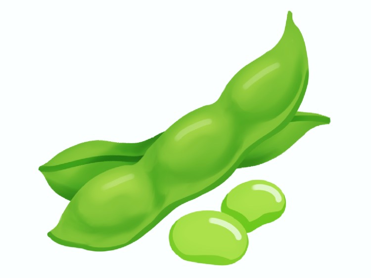「えだまめ(枝豆)」の こどもに話したい!栄養と調理・保存のコツ【食育コラム】