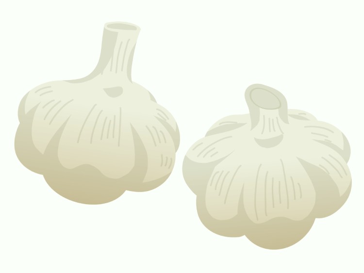 「にんにく(大蒜)」の こどもに話したい!栄養と調理・保存のコツ【食育コラム】