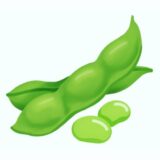 「えだまめ（枝豆）」の こどもに話したい！栄養と調理・保存のコツ【食育コラム】
