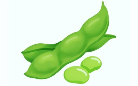 「えだまめ（枝豆）」の こどもに話したい！栄養と調理・保存のコツ【食育コラム】