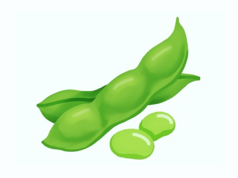 「えだまめ（枝豆）」の こどもに話したい！栄養と調理・保存のコツ【食育コラム】