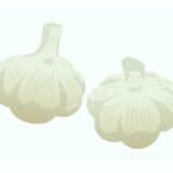 「にんにく（大蒜）」の こどもに話したい！栄養と調理・保存のコツ【食育コラム】