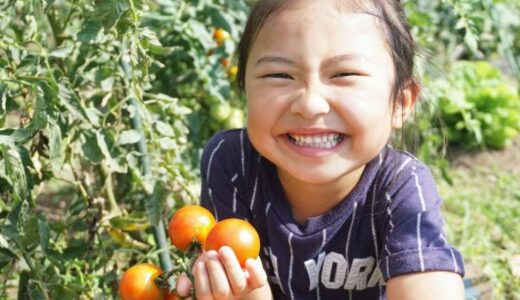 野菜が元気になる季節があるんだよ！「春夏秋冬・季節の野菜」と「旬（しゅん）ってなんだ？」こどもに話して聞かせたい野菜が身近になるお話 【お家で食育コラム vol.11】