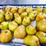 園で収穫した“ラ・フランス”が子どもたちのおやつに登場しました　