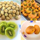 こども園の給食に“柿（かき）とキウイ”が登場！秋の恵みをいただきました☆彡