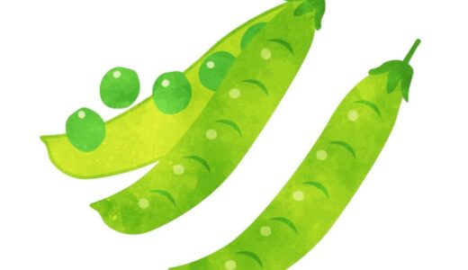 「えんどう豆」の こどもに話したい！栄養と調理・保存のコツ【食育コラム】