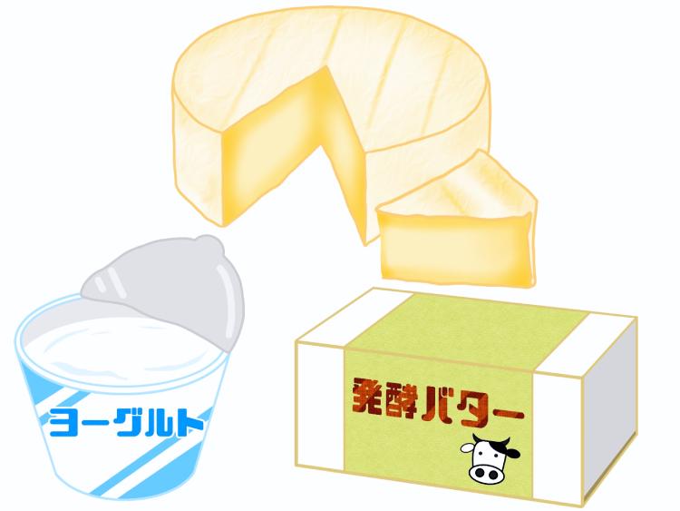 乳製品|「牛乳」の こどもに話したい!栄養と調理・保存のコツ【食育コラム】