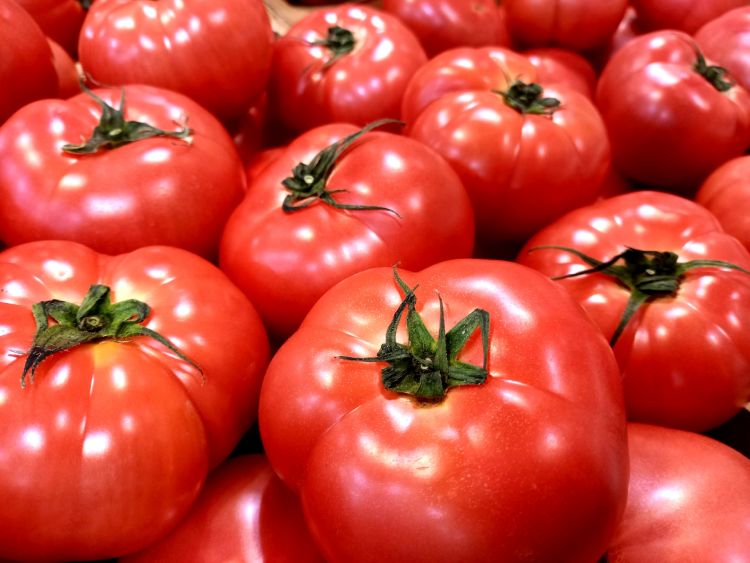 トマト｜野菜って、「仲間分け」できるって知ってる？ 〜食べる前に、まずは“話して楽しむ”野菜のおはなし（野菜の区分について）〜【お家で食育コラム vol.12】