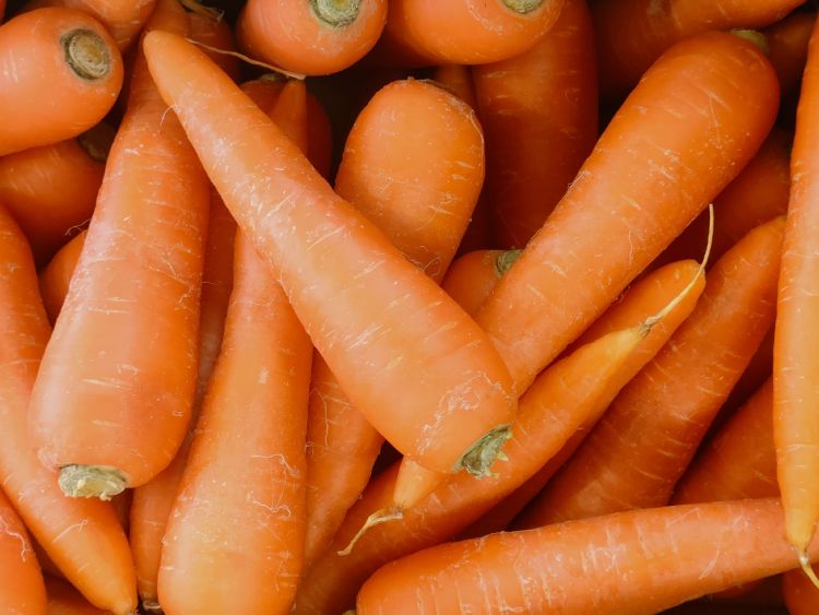 にんじん｜野菜って、「仲間分け」できるって知ってる？ 〜食べる前に、まずは“話して楽しむ”野菜のおはなし（野菜の区分について）〜【お家で食育コラム vol.12】