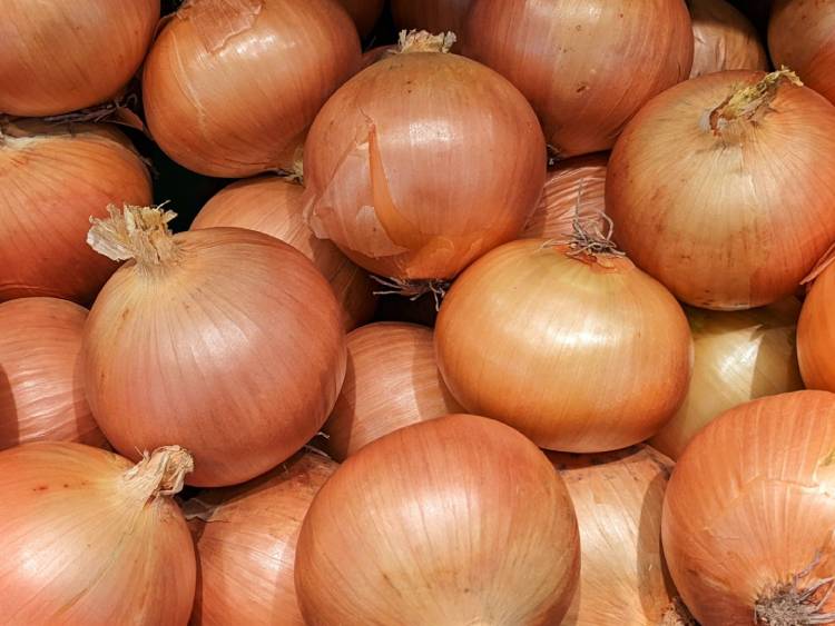 たまねぎ｜野菜って、「仲間分け」できるって知ってる？ 〜食べる前に、まずは“話して楽しむ”野菜のおはなし（野菜の区分について）〜【お家で食育コラム vol.12】