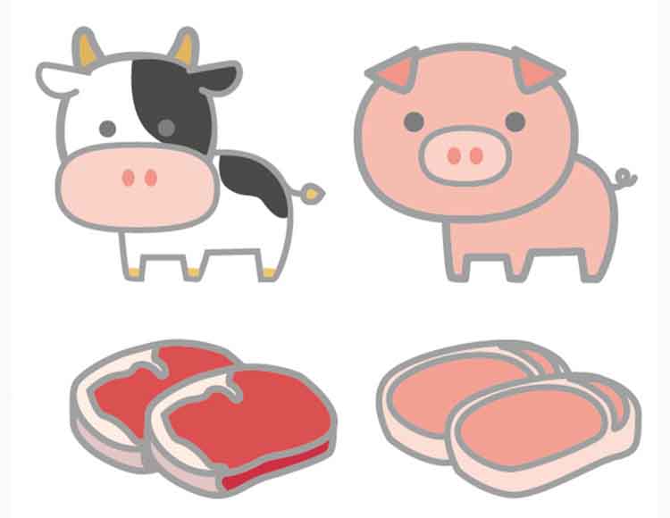 【脂質（ししつ）】は小量で効率の良いエネルギー源！細胞膜やホルモンの材料にもなる栄養素【食育コラム】