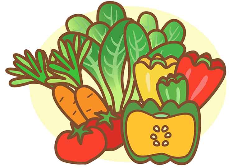 【ビタミン】の働きって？上手な摂り方を知って、日々の体調管理に活かそう！【食育コラム】