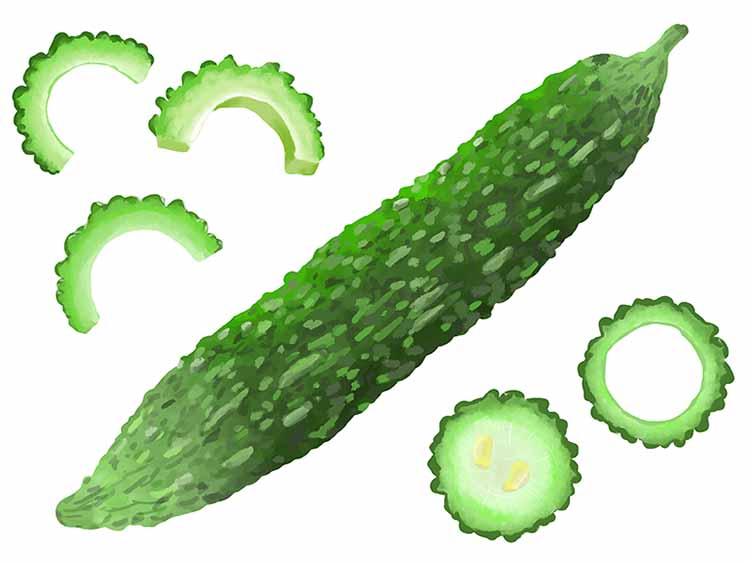 「ゴーヤ（苦瓜）」の知っておきたい！栄養と調理・保存のコツ【食育コラム】
