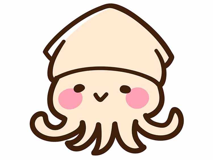 「いか（烏賊）」の知っておきたい！栄養と調理・保存のコツ【食育コラム】