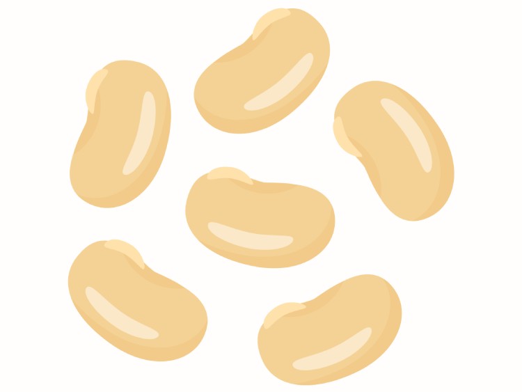 「大豆（だいず）」の こどもに話したい！栄養と調理・保存のコツ【食育コラム】