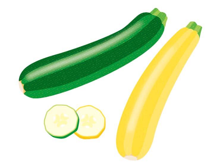「ズッキーニ」の知っておきたい！栄養と調理・保存のコツ【食育コラム】