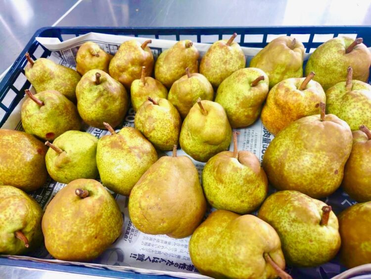 園で収穫した“ラ・フランス”が子どもたちのおやつに登場しました