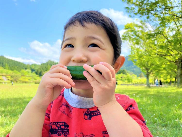 「野菜は体にいい」だけじゃもったいない！ “野菜の本当のスゴさ、魅力” を知って、こどもにも話してあげよう！【お家で食育コラム vol.9】