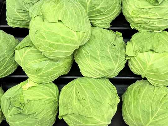 キャベツ|野菜って、「仲間分け」できるって知ってる? 〜食べる前に、まずは“話して楽しむ”野菜のおはなし(野菜の区分について)〜【お家で食育コラム vol.12】